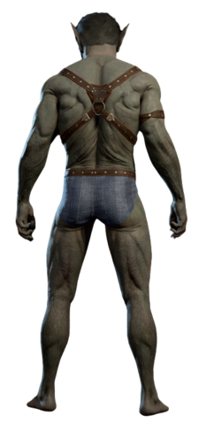 Half-Orc Male