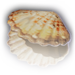 Clamshell Icon.png