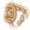 Goading Roar Icon 64px.png