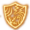 Elemental Affinity Resistance Icon.webp