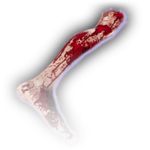 Severed Leg image