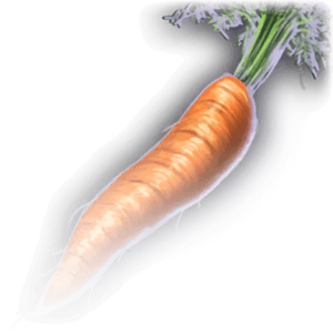 Carrot image