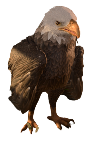 Giant Eagle.png