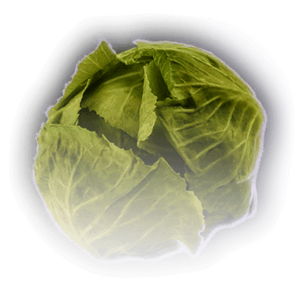 Spoiled Cabbage image