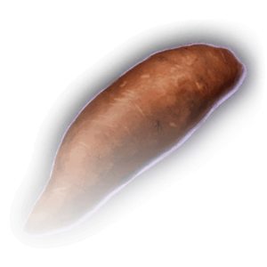 Sweet Potato image