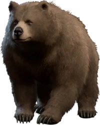 Halsin Bear Model.webp