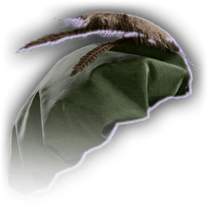 Ignoble Hat image