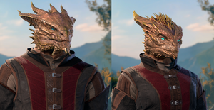 Dragonborn Bronze.png