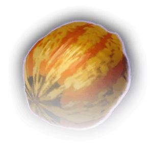 Carnival Squash image