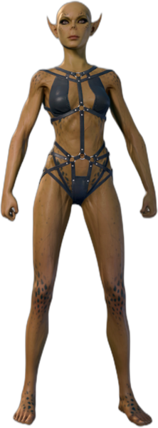 Black Underwear Githyanki Front