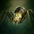 Portrait Conjured Spider.png