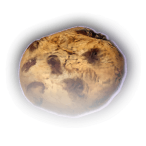 Biscuit image