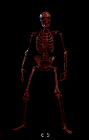 Bloodmarrow Skeleton.png