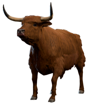 Ox Model.png