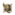 Dexterity icon.png