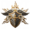 Class Paladin Badge Icon.png