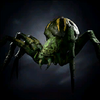 Portrait Spider.png