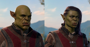 Half-Orc Default.png