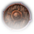 Rusty Studded Shield Faded.png