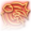 Enraged Throw Icon 64px.png