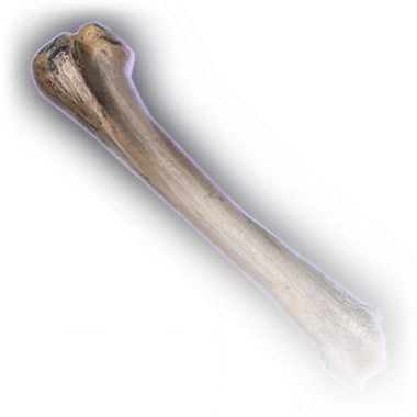 File:Rothé Femur Faded.webp