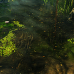 Spike Traps under the water (Sunlit Wetlands)