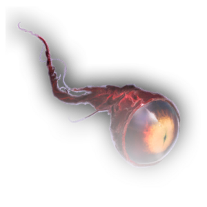 Beholder Iris image