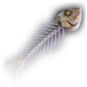 Fish Skeleton image