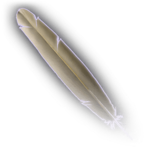 Planetar Feather image