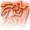 Primal Stampede Icon.png