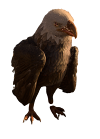 Ancient Giant Eagle.png