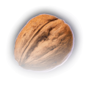 Walnut image